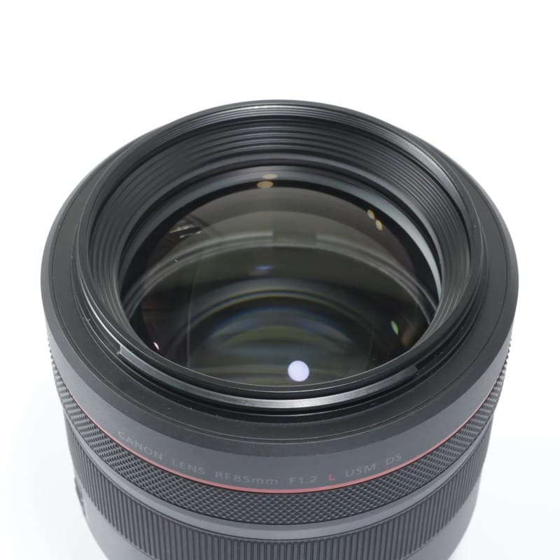 RF85mm F1.2 L USM DS