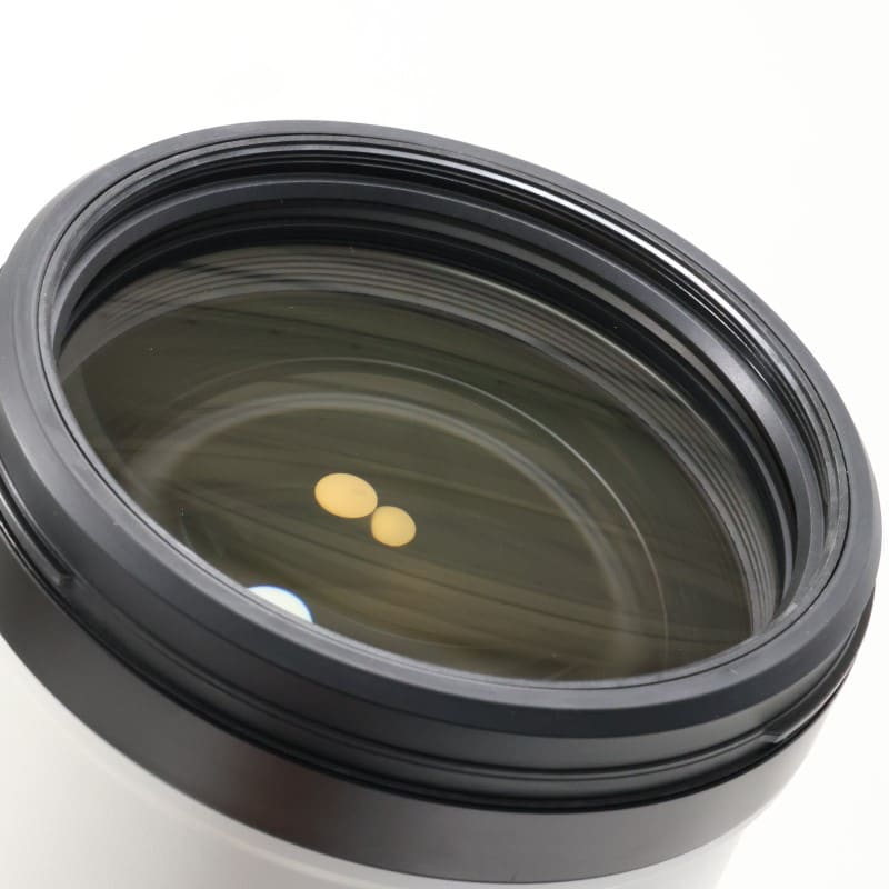 FE 200-600mm F5.6-6.3 G OSS SEL200600G