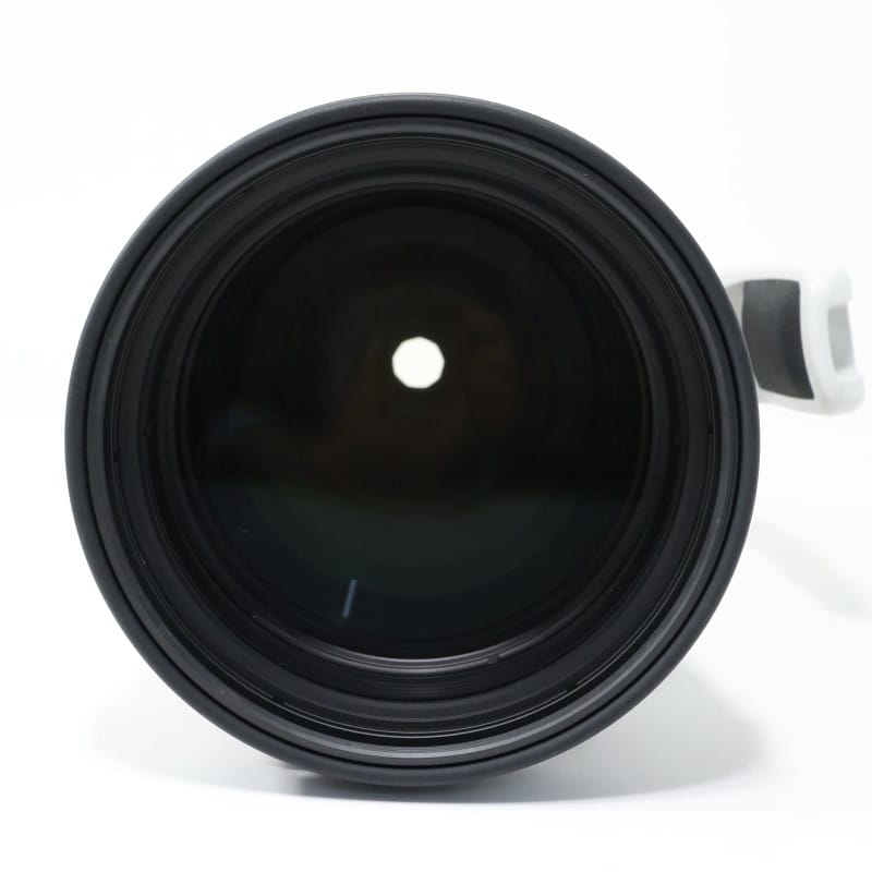 RF100-300mm F2.8 L IS USM