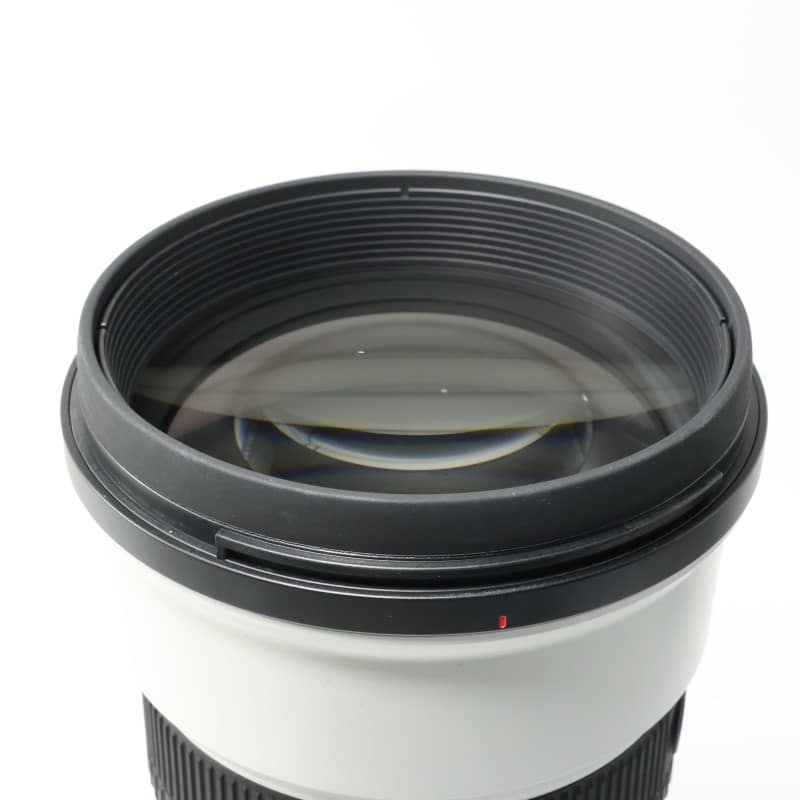 FE 300mm F2.8 GM OSS SEL300F28GM