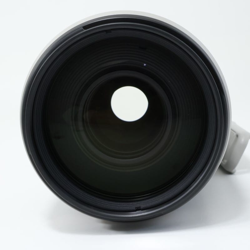 EF100-400mm F4.5-5.6L IS II USM