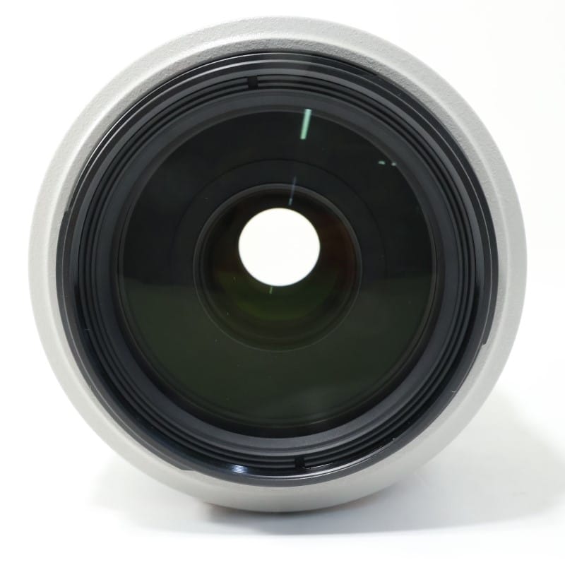 EF 70-300mm F4-5.6 L IS USM