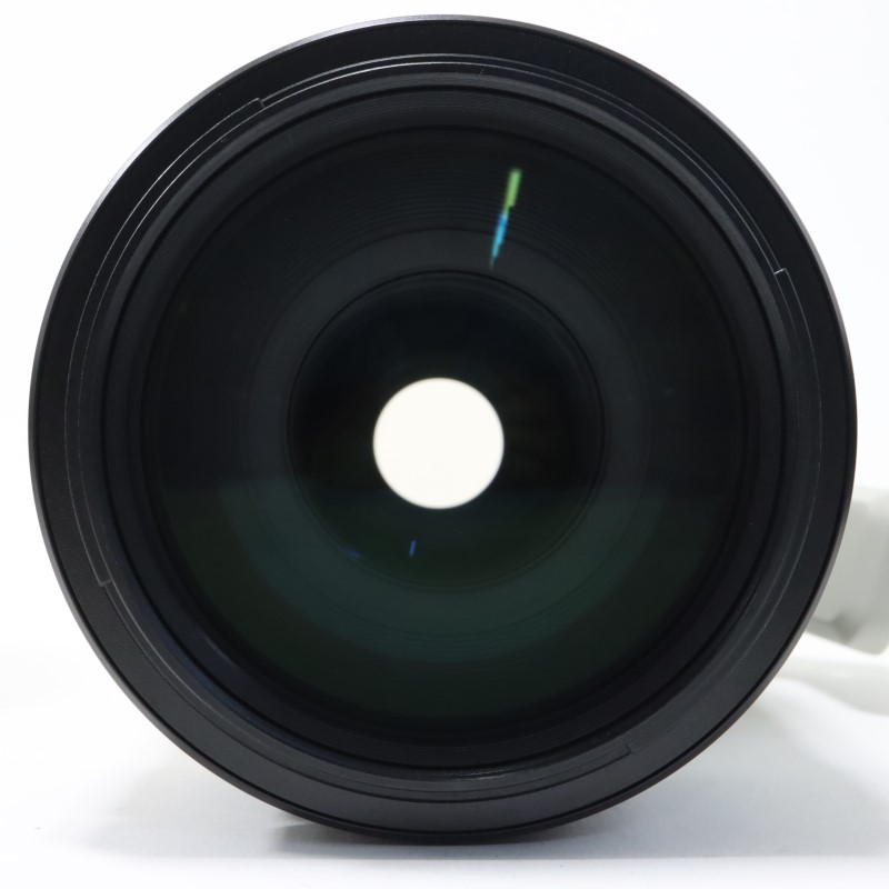 FE 100-400mm F4.5-5.6 GM OSS SEL100400GM