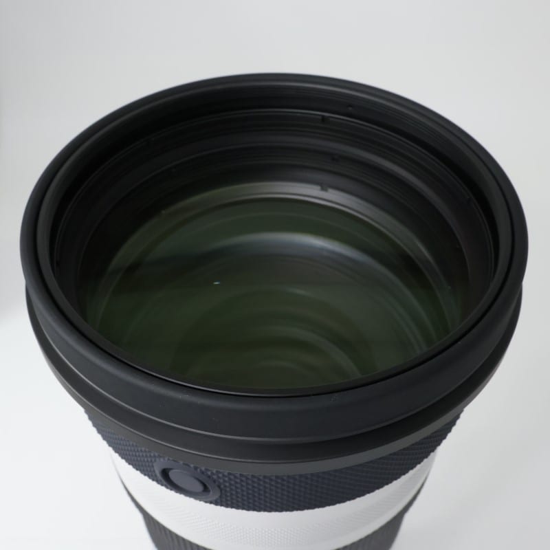 RF100-300mm F2.8 L IS USM
