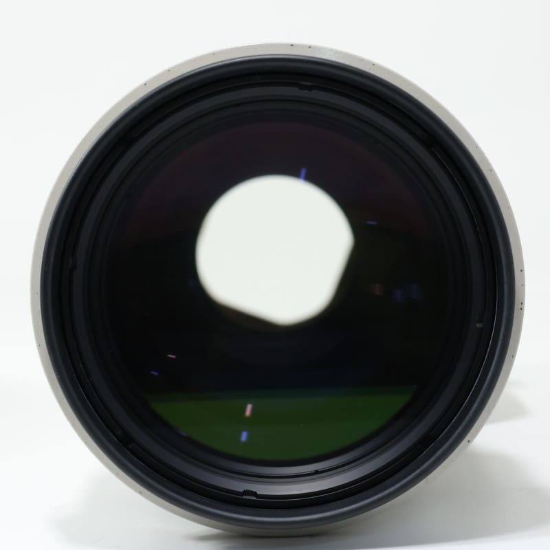EF 400mm F4 DO IS USM