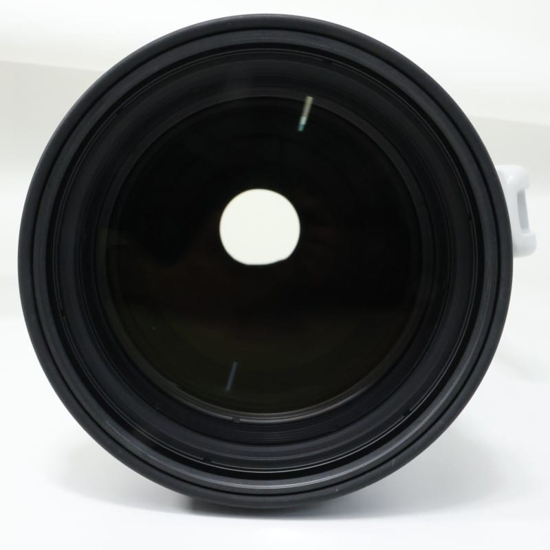 RF100-300mm F2.8 L IS USM