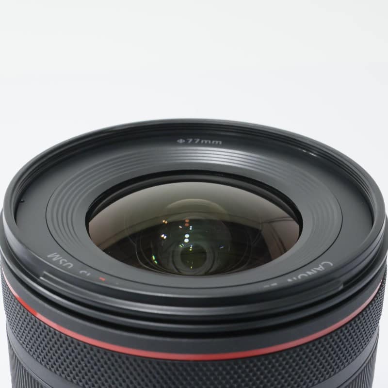 RF14-35mm F4 L IS USM