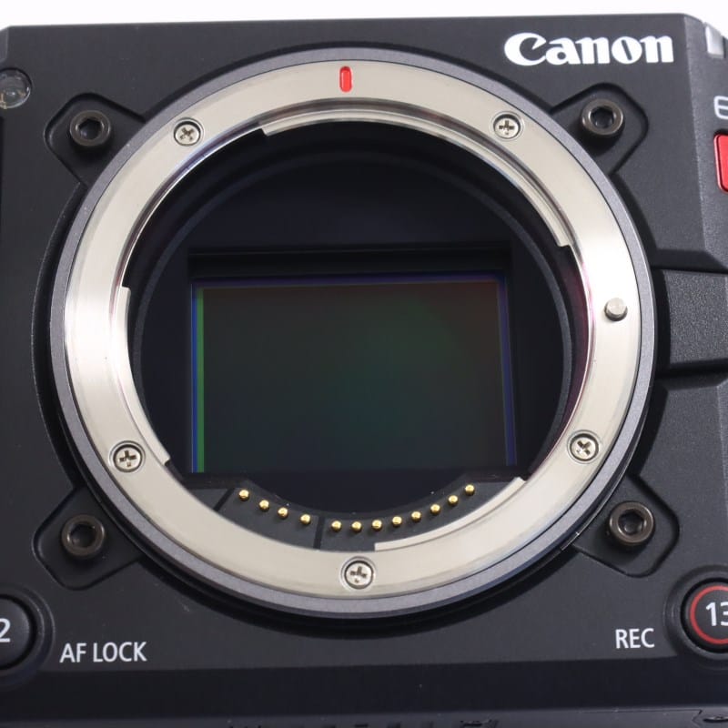 EOS C50