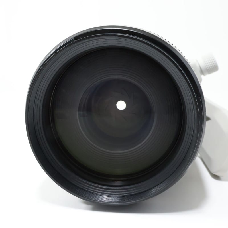 RF70-200mm F2.8 L IS USM