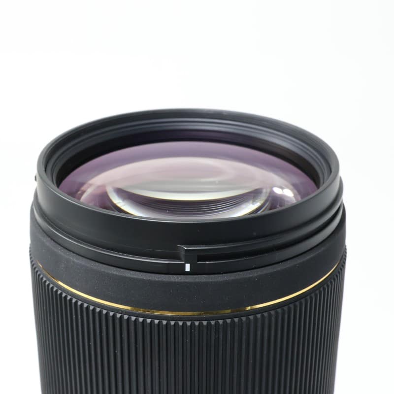 APO 100-300mm F4 EX DG HSM ニコン