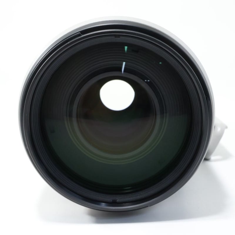 EF100-400mm F4.5-5.6L IS II USM