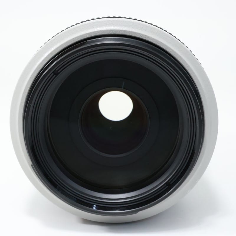 EF 70-300mm F4-5.6 L IS USM