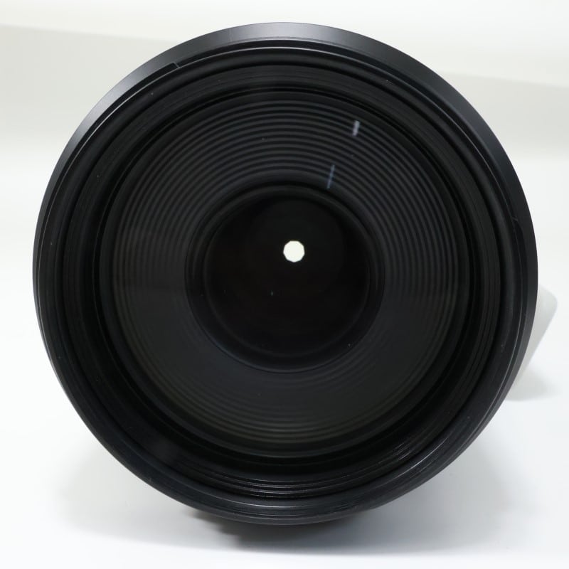 RF100-500mm F4.5-7.1 L IS USM