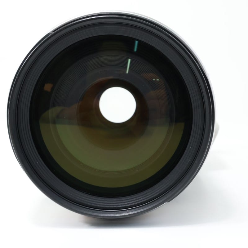 EF 100-400mm F4.5-5.6 L IS USM