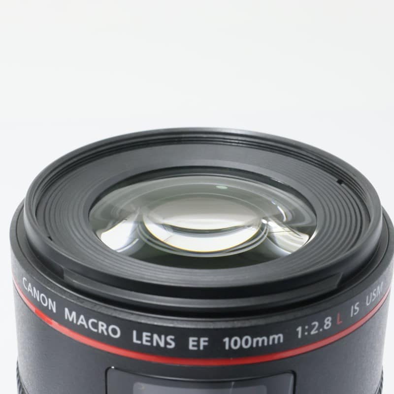 EF100mm F2.8Lマクロ IS USM
