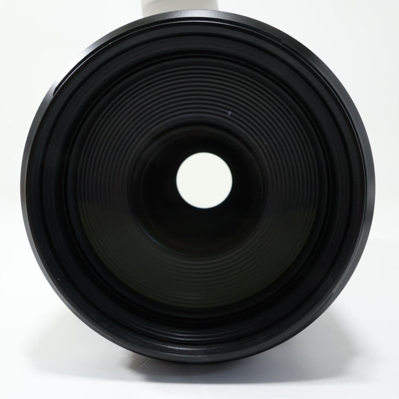 RF100-500mm F4.5-7.1 L IS USM