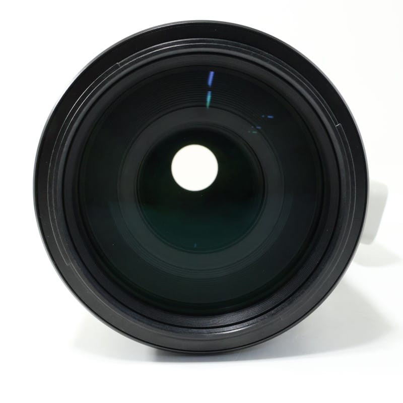 FE 100-400mm F4.5-5.6 GM OSS SEL100400GM