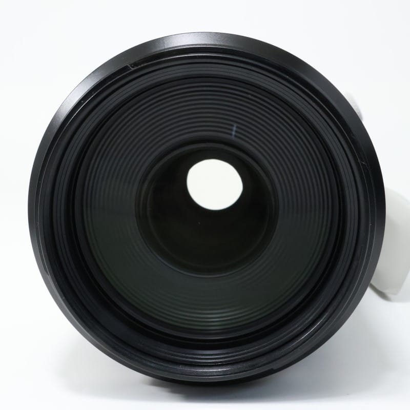 RF100-500mm F4.5-7.1 L IS USM