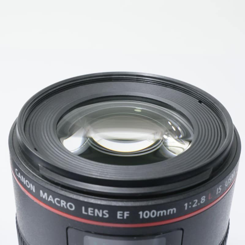 EF100mm F2.8Lマクロ IS USM