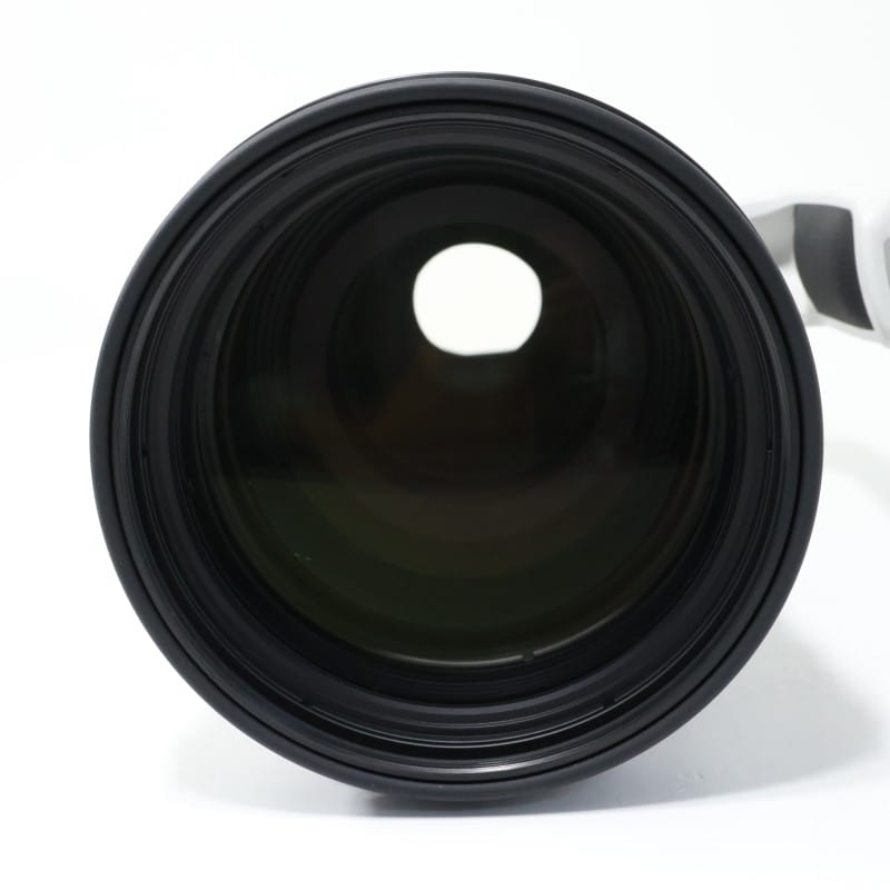 RF100-300mm F2.8 L IS USM