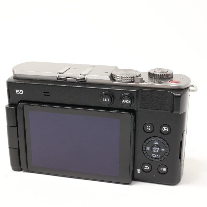 LUMIX S9 ボディ シルバー DC-S9-S