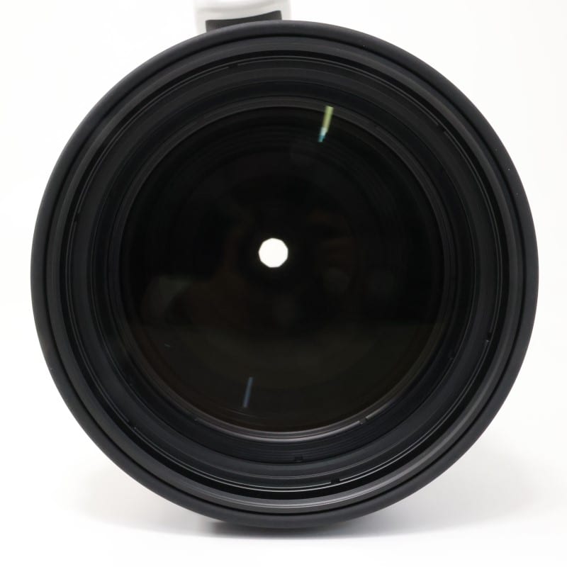 RF100-300mm F2.8 L IS USM