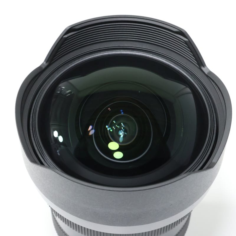FE 12-24mm F2.8 GM SEL1224GM