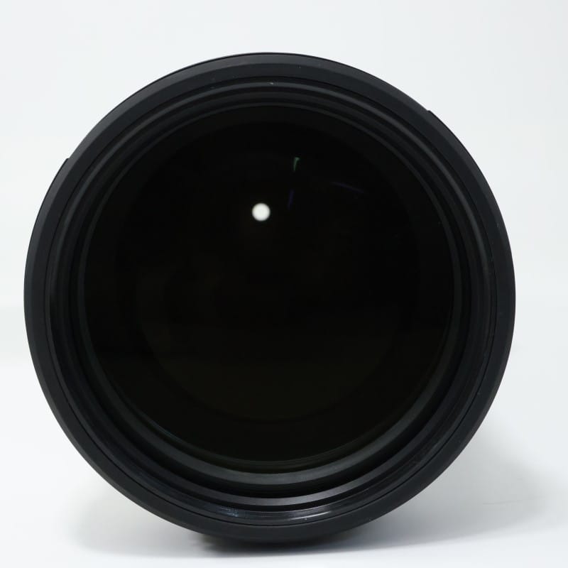 FE 200-600mm F5.6-6.3 G OSS SEL200600G