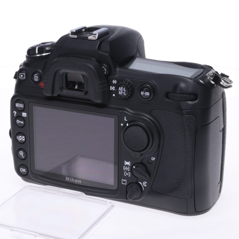 D300