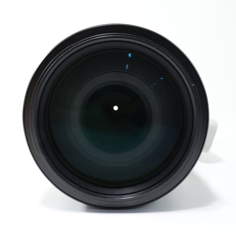 FE 100-400mm F4.5-5.6 GM OSS SEL100400GM