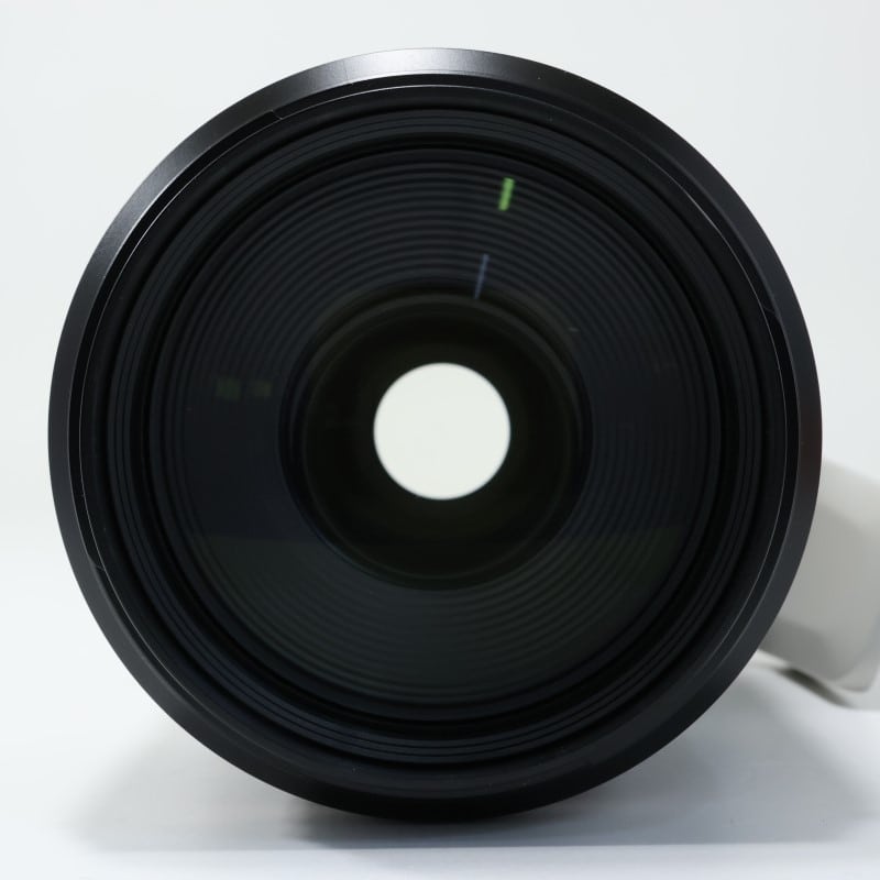 RF100-500mm F4.5-7.1 L IS USM