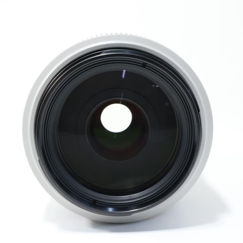 EF 70-300mm F4-5.6 L IS USM