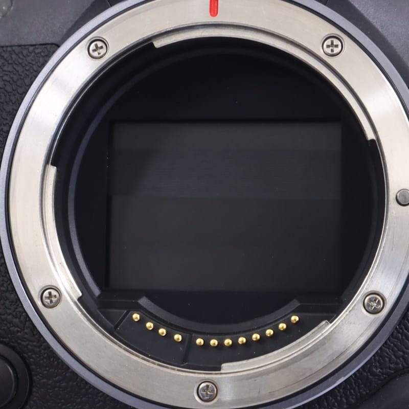 EOS R5 C ボディー