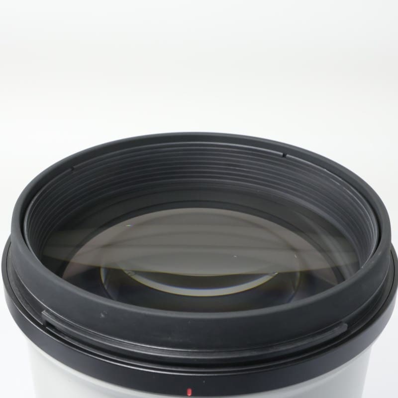 FE 300mm F2.8 GM OSS SEL300F28GM