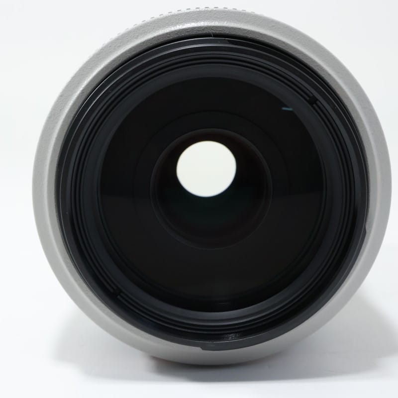 EF 70-300mm F4-5.6 L IS USM