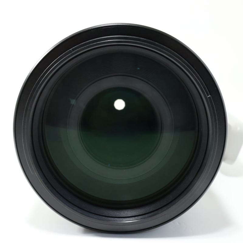 FE 100-400mm F4.5-5.6 GM OSS SEL100400GM
