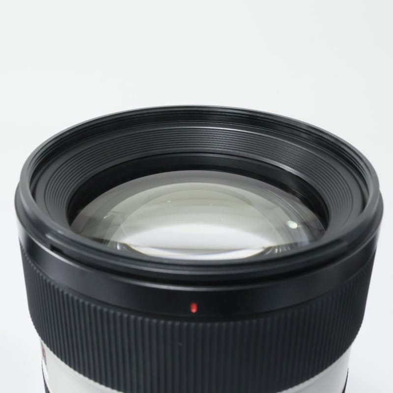 FE 50-150mm F2 GM SEL50150GM