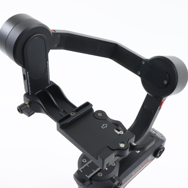 CR110 [WEEBILL S]