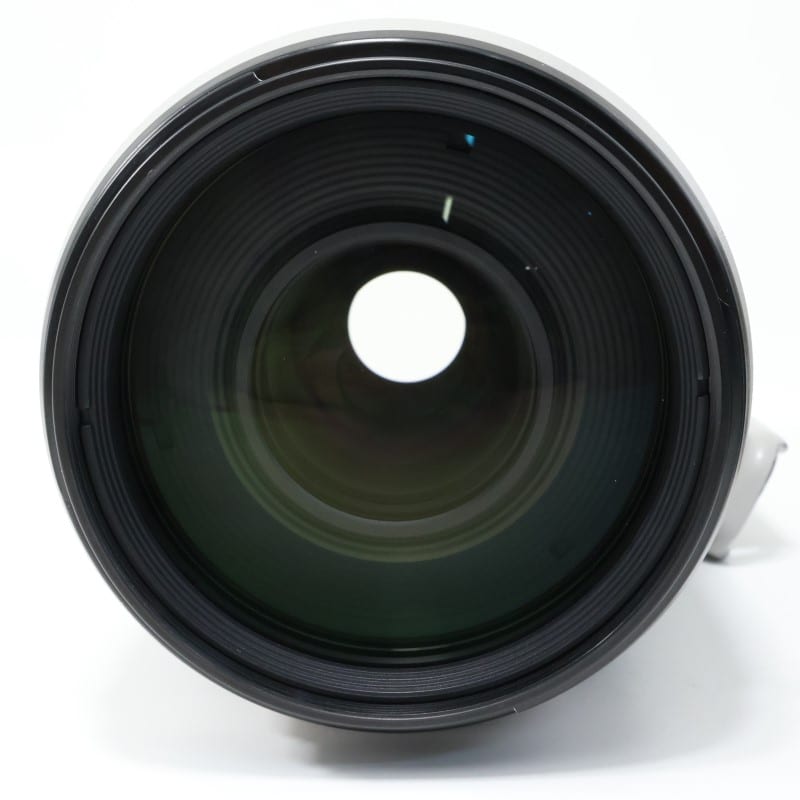 EF100-400mm F4.5-5.6L IS II USM