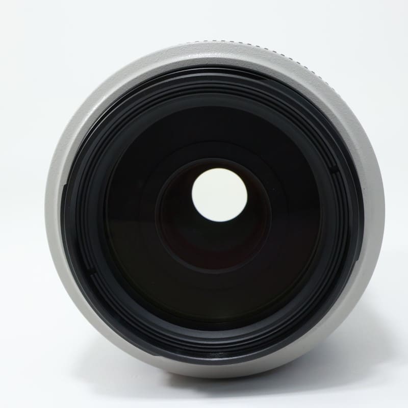 EF 70-300mm F4-5.6 L IS USM