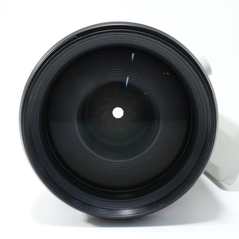 RF70-200mm F2.8 L IS USM