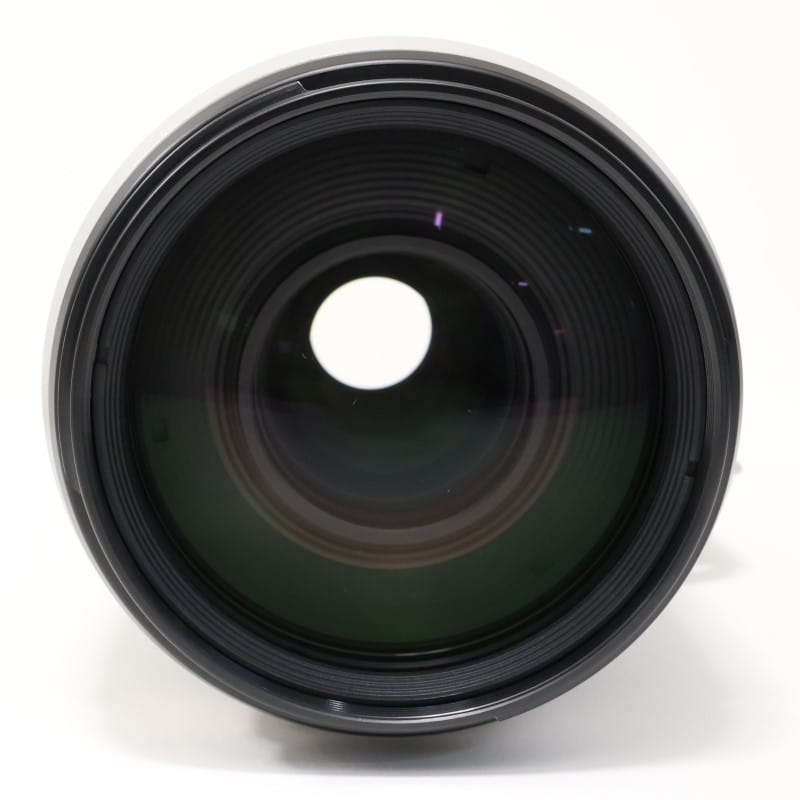 EF100-400mm F4.5-5.6L IS II USM