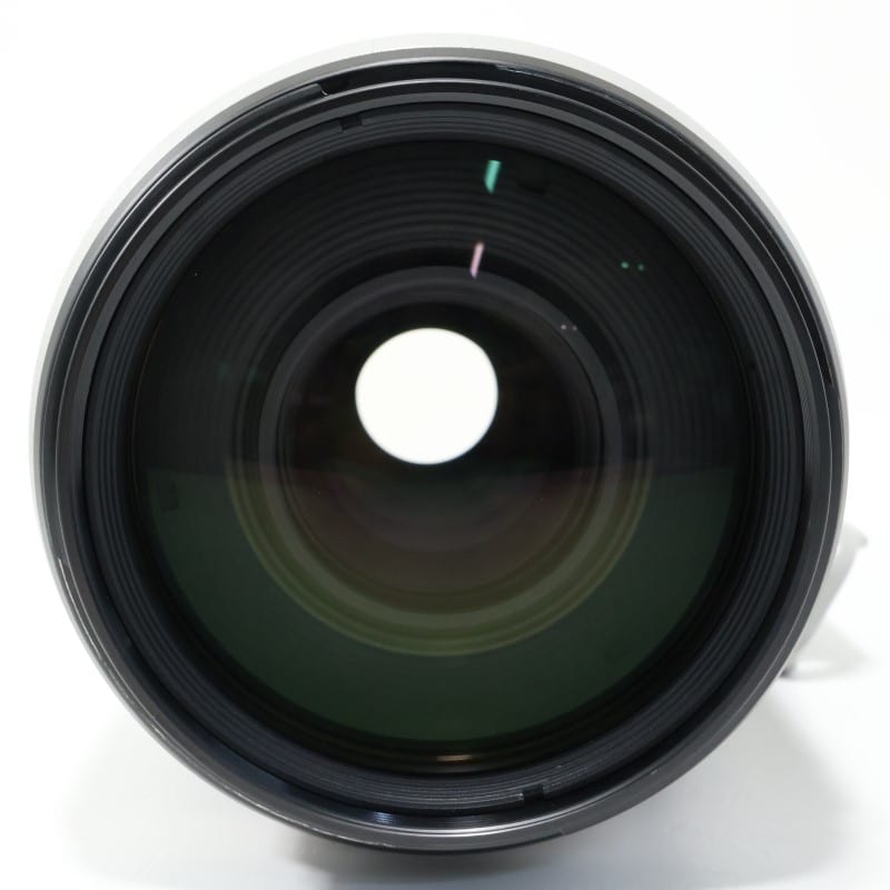 EF100-400mm F4.5-5.6L IS II USM