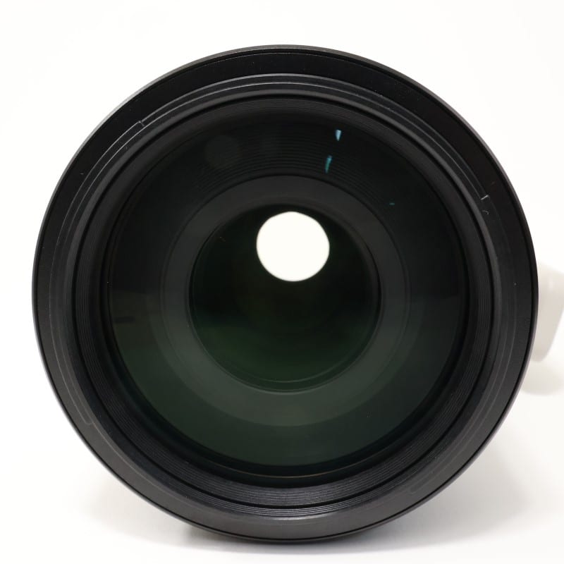 FE 100-400mm F4.5-5.6 GM OSS SEL100400GM