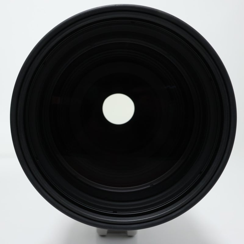 RF100-300mm F2.8 L IS USM