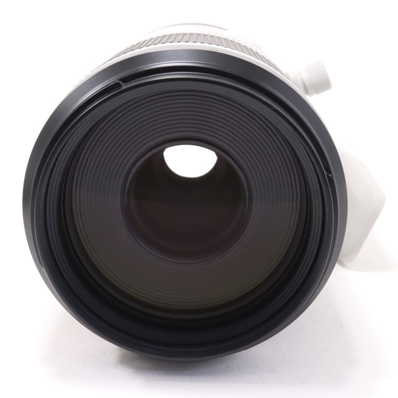 RF100-500mm F4.5-7.1 L IS USM