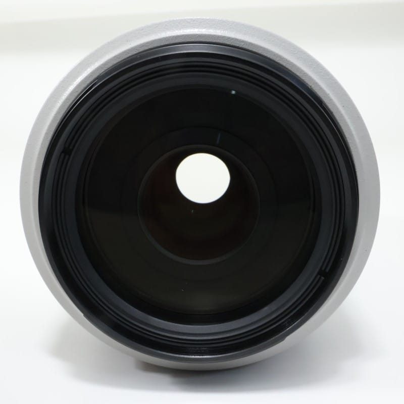 EF 70-300mm F4-5.6 L IS USM