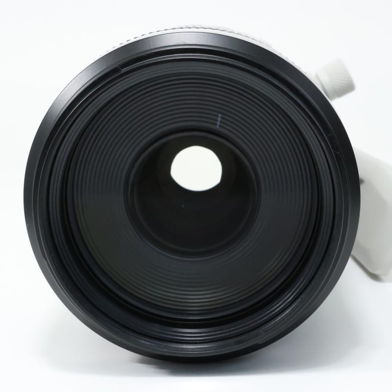 RF100-500mm F4.5-7.1 L IS USM