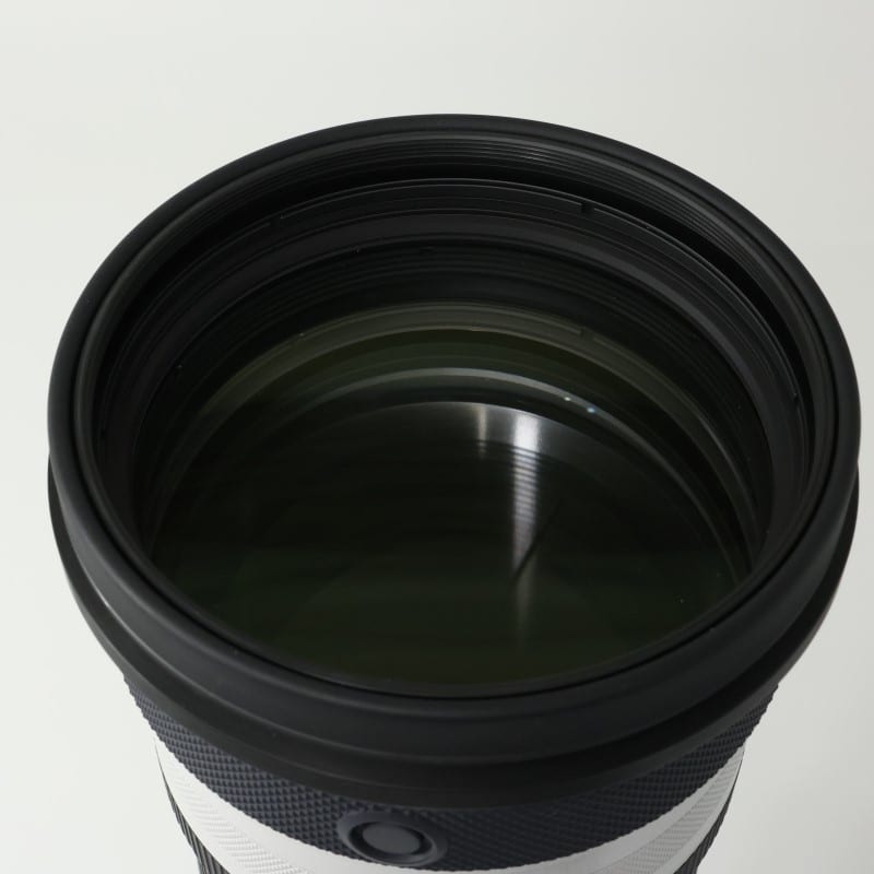RF100-300mm F2.8 L IS USM