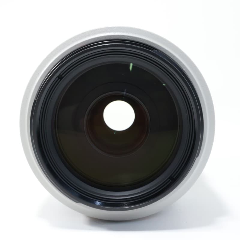 EF 70-300mm F4-5.6 L IS USM